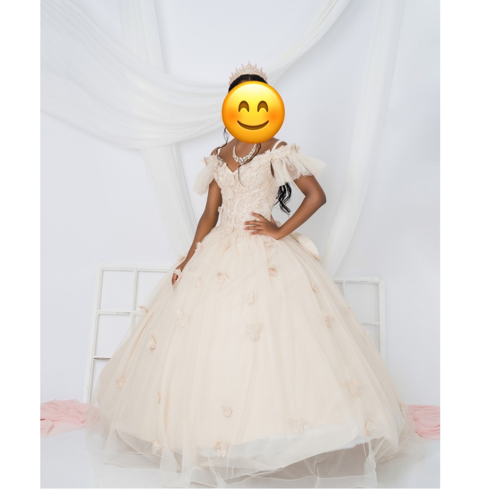 Off Shoulder Quinceanera Dresses Ball Gown 3D Butterfly Puffy Tulle Pageant Gown